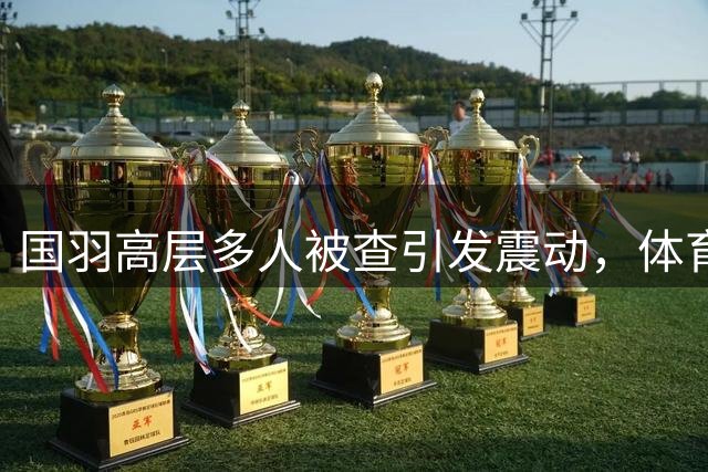 国羽高层多人被查引发震动，体育反腐再添新案例