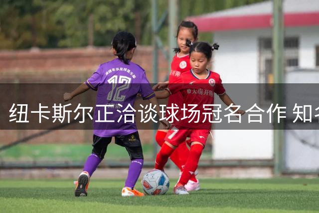 纽卡斯尔正洽谈球场冠名合作 知名运动品牌未参与谈判
