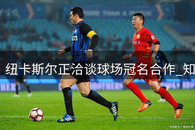 纽卡斯尔正洽谈球场冠名合作 知名运动品牌未参与谈判