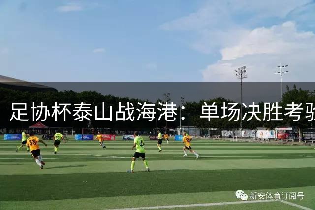 足协杯泰山战海港：单场决胜考验战术与意志